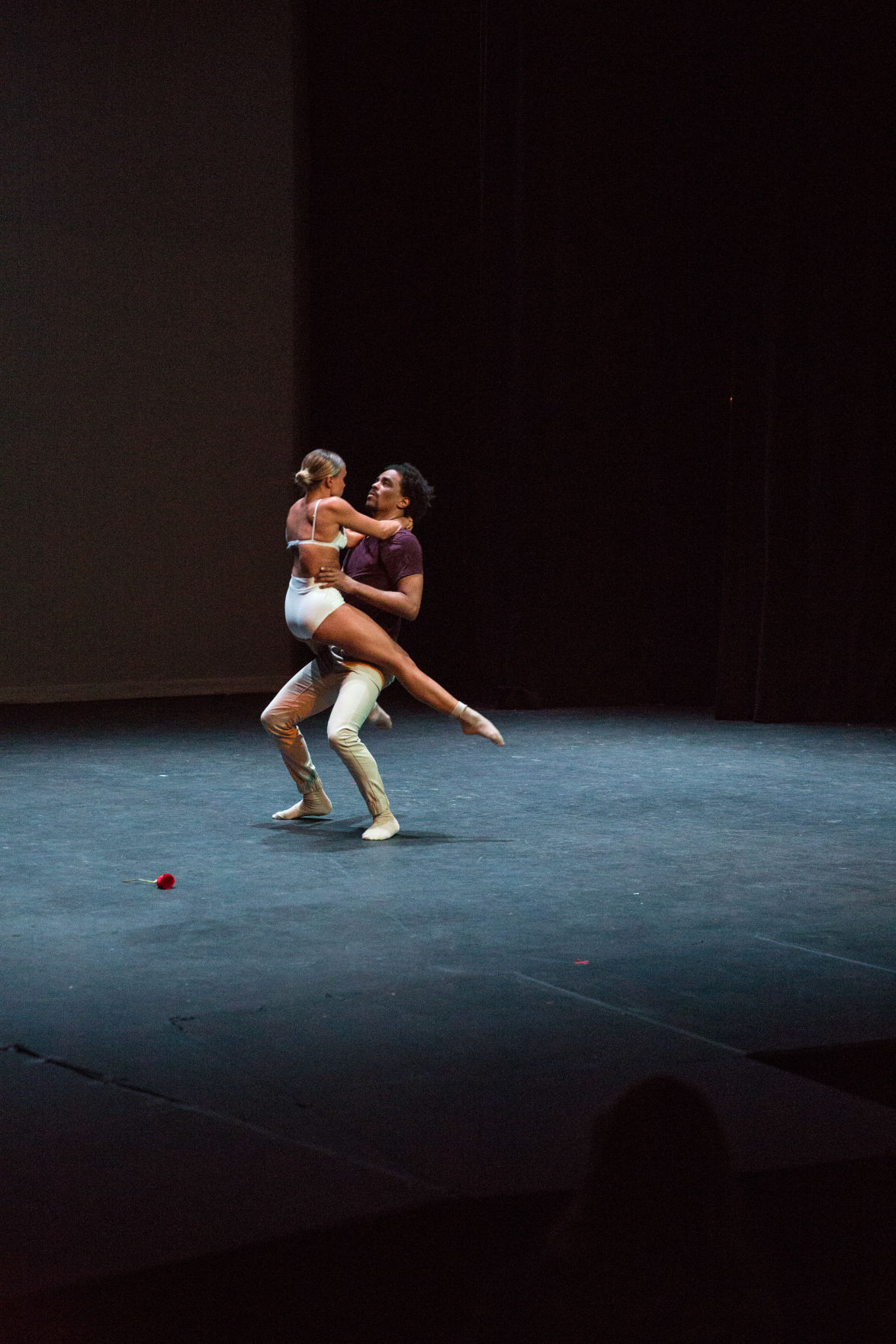 Fringe Opening (Photo 7, Rose)
